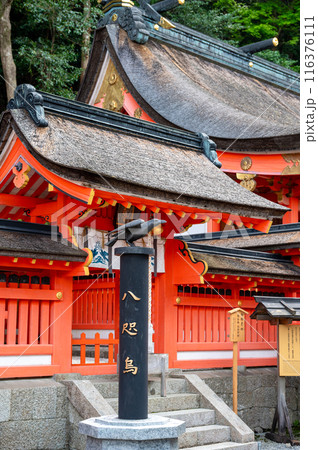 八咫烏 三足鳥 熊野那智大社 サッカー 日本代表 116376111