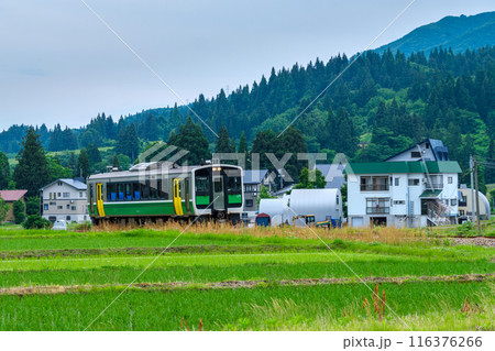 田んぼと列車 116376266