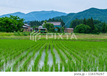 守門岳と列車 116376267