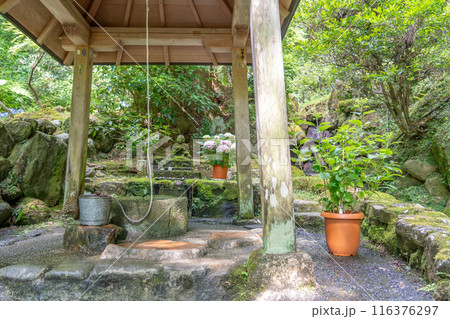 奈良県明日香村　岡寺のあぢさゐ回廊の紫陽花と瑠璃井とつるべ桶とお地蔵さん 116376297