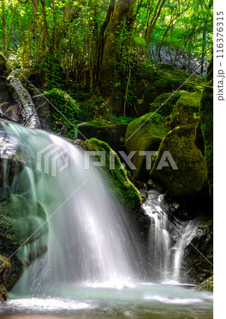 比良山系の最高峰、武奈ヶ岳登山道の無名滝(滋賀県大津市北比良)※作品コメント欄に撮影位置 比良山系の最高峰、武奈ヶ岳登山道の無名滝(滋賀県大津市北比良)※作品コメント欄に撮影位置 116376315