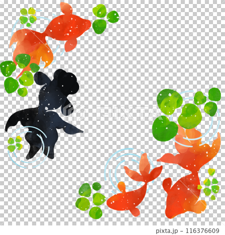 Top view of swimming goldfish and aquatic plants cartoon 116376609