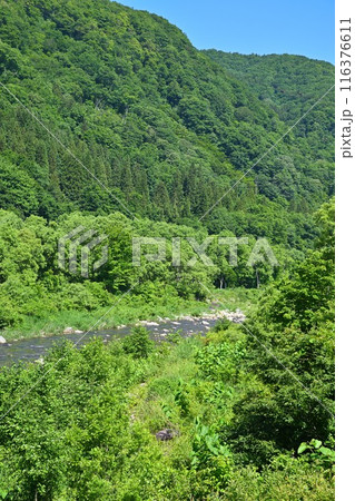 清津川　三俣宿付近　山・川の風景　 116376611