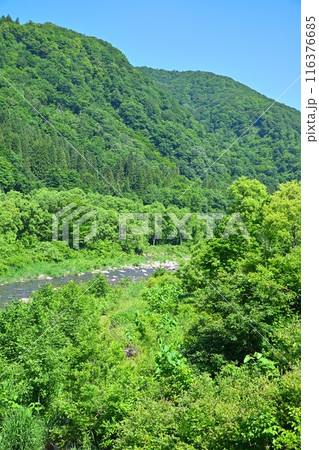 清津川　三俣宿付近　山・川の風景　 116376685