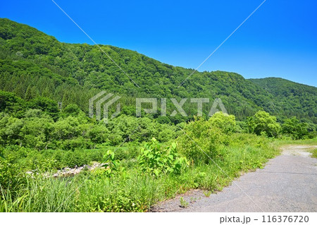 清津川　三俣宿付近　山・河原の風景　 116376720