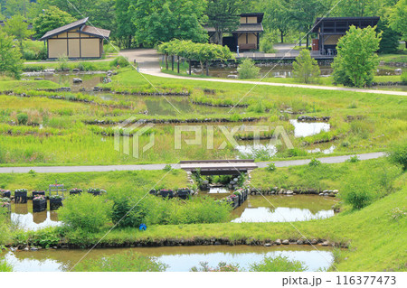 国営アルプスあづみの公園 堀金・穂高地区 田園文化ゾーンの池 国営アルプスあづみの公園 堀金・穂高地区 田園文化ゾーンの池 116377473