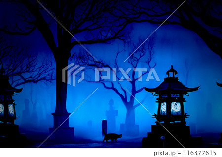 夜の墓地 116377615