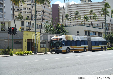 ハワイ州のバス　ホノルルのバス 116377620