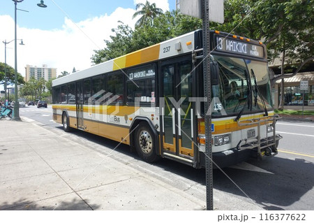 ハワイ州のバス　ホノルルのバス 116377622