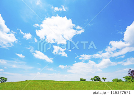 夏の青空と草原 116377671