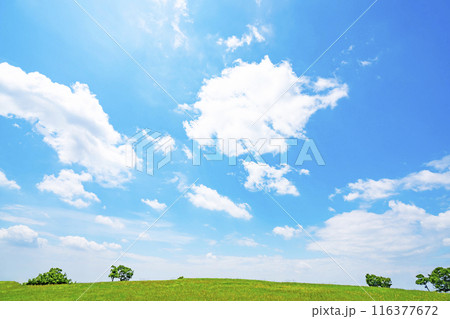 夏の青空と草原 116377672