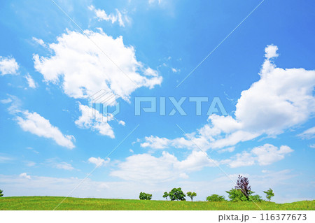 夏の青空と草原 116377673