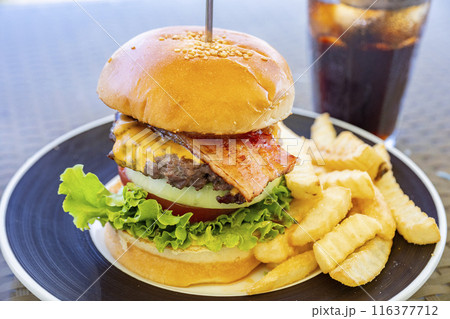 海辺で食べるハンバーガー 116377712
