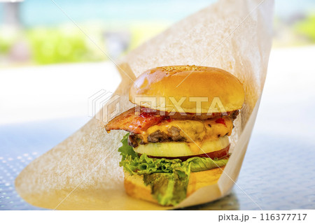 海辺で食べるハンバーガー 116377717