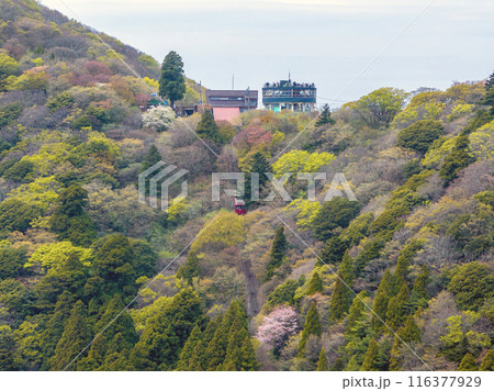 筑波山頂駅と筑波山コマ展望台(茨城県) 筑波山頂駅と筑波山コマ展望台(茨城県) 116377929