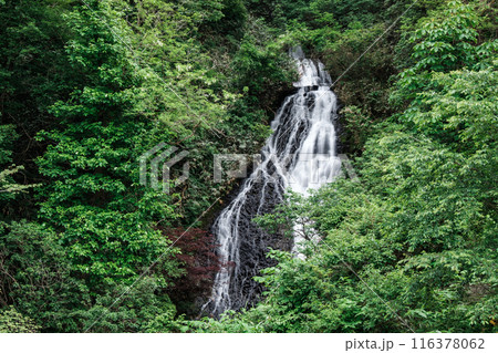 七滝 （秋田県小坂町） 116378062