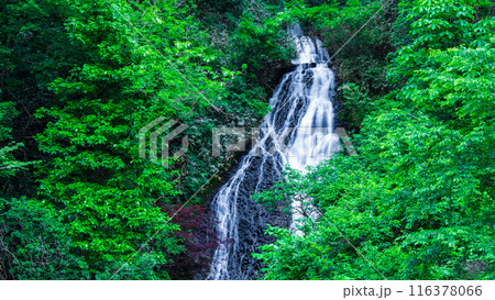 七滝 （秋田県小坂町） 116378066