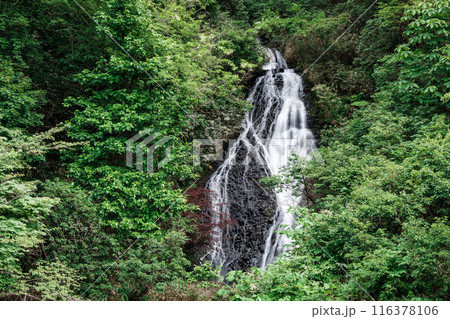 七滝 (秋田県小坂町) 七滝 (秋田県小坂町) 116378106