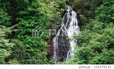 七滝 (秋田県小坂町) 七滝 (秋田県小坂町) 116378116