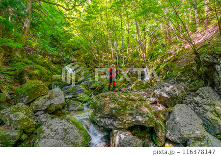 渓流で森林浴をする登山者 渓流で森林浴をする登山者 116378147