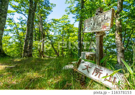 静寂の名峰、百合ヶ岳（大所山）山頂（奈良県吉野郡川上村下多古)※作品コメント欄に撮影位置 116378153