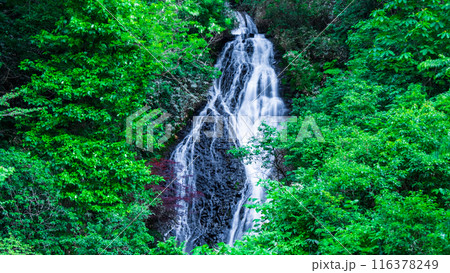 七滝 （秋田県小坂町） 116378249