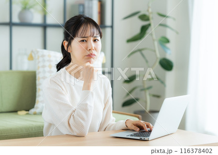 リビングでパソコンを使う若い女性 リビングでパソコンを使う若い女性 116378402