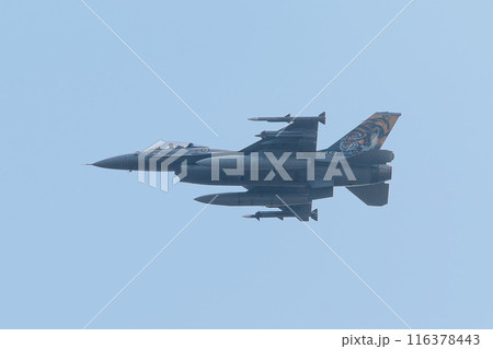 トラ柄のノルウェー空軍F-16AM戦闘機 トラ柄のノルウェー空軍F-16AM戦闘機 116378443