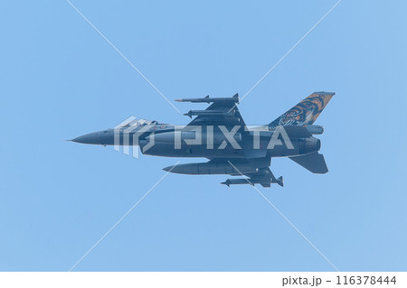 トラ柄のノルウェー空軍F-16AM戦闘機 116378444