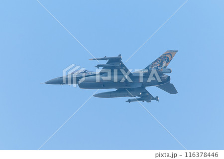 トラ柄のノルウェー空軍F-16AM戦闘機 116378446