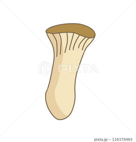 シンプルなエリンギのイラスト シンプルなエリンギのイラスト 116378465