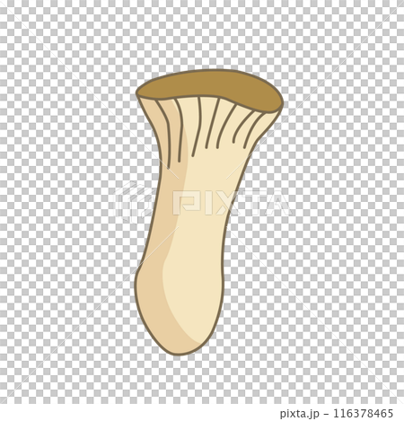 シンプルなエリンギのイラスト シンプルなエリンギのイラスト 116378465