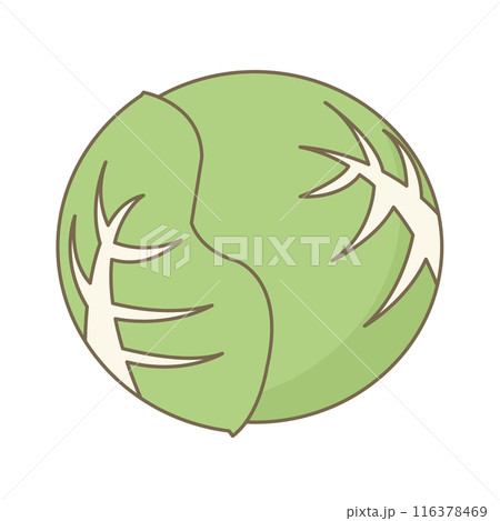 シンプルなキャベツのイラスト シンプルなキャベツのイラスト 116378469
