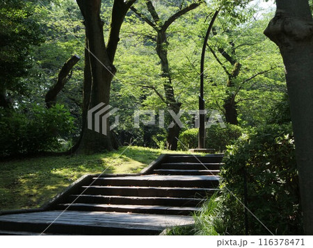 上野公園の風景 116378471