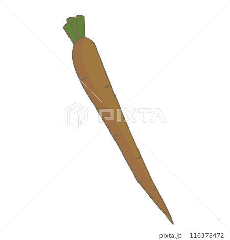 シンプルなごぼうのイラスト 116378472