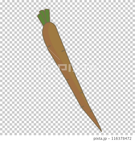 シンプルなごぼうのイラスト 116378472