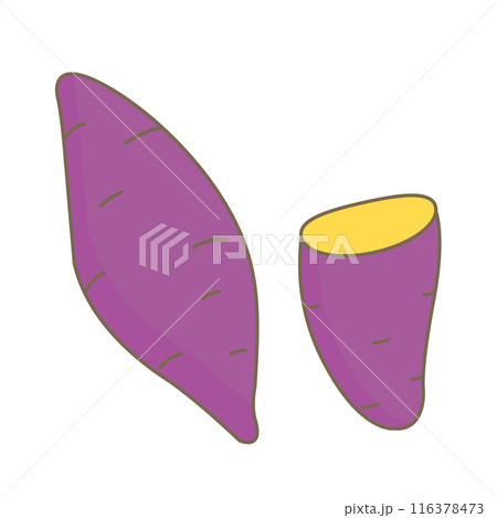シンプルなさつまいものイラスト 116378473