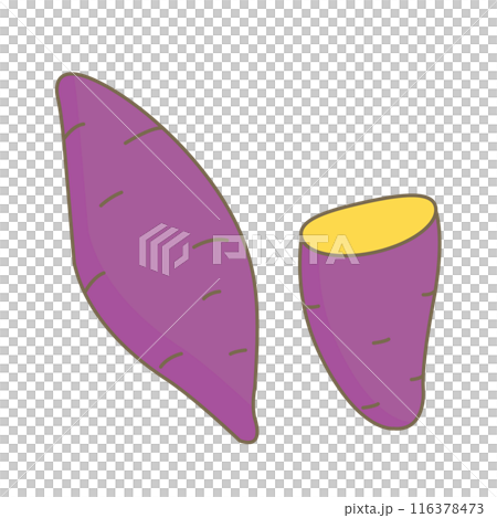 simple sweet potato illustration 116378473