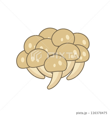 シンプルなしめじのイラスト シンプルなしめじのイラスト 116378475