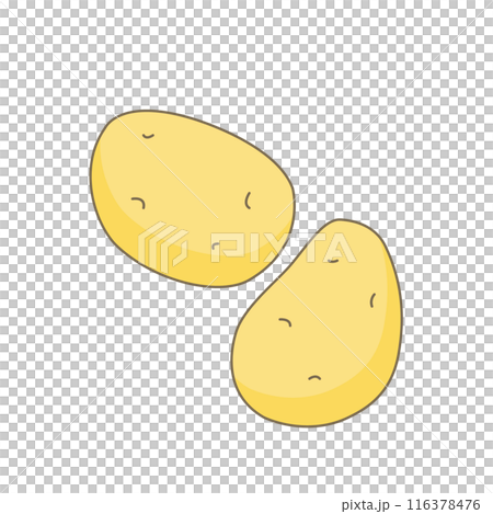 シンプルなジャガイモのイラスト 116378476