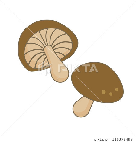 シンプルな椎茸のイラスト シンプルな椎茸のイラスト 116378495