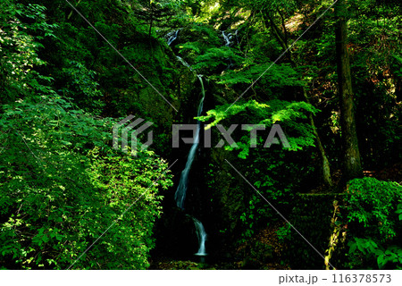 神奈川県 大山阿夫利神社 二重の滝の風景 神奈川県 大山阿夫利神社 二重の滝の風景 116378573