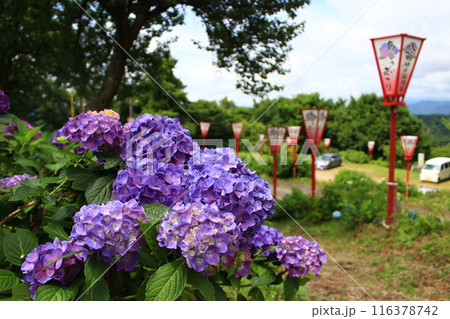 十日町市・あじさい公園 十日町市・あじさい公園 116378742