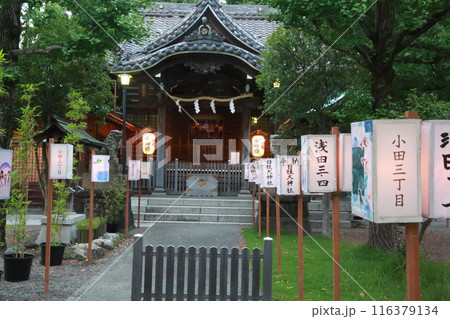 日枝神社のぼんぼり祭り 日枝神社のぼんぼり祭り 116379134