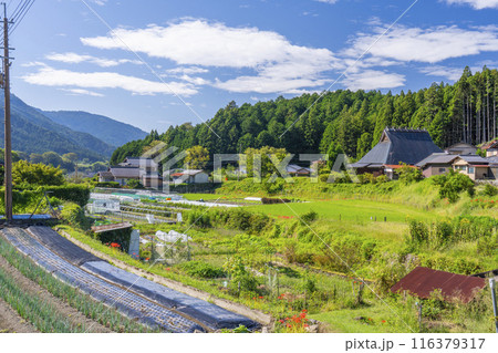 京都大原　大原女の小径　田園風景と彼岸花 116379317