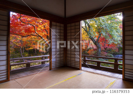 秋の京都　見事な紅葉の宝筐院　本堂からの眺め 116379353