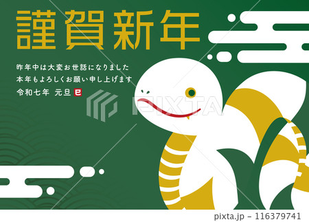 2025年 巳年の蛇(へび・ヘビ)の和モダンな年賀状デザイン_年賀素材テンプレート 116379741