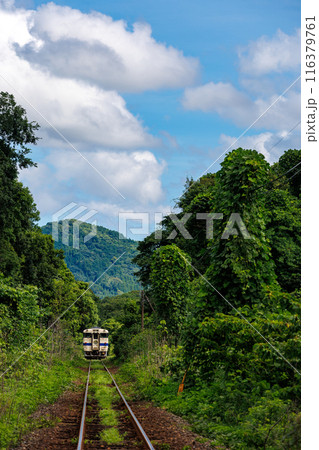 夏空の下、直線を行くキハ47系国鉄型気動車 夏空の下、直線を行くキハ47系国鉄型気動車 116379761