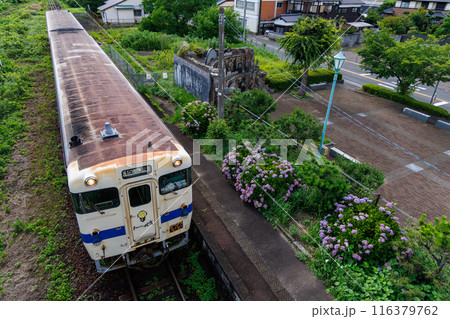 紫陽花の咲く唐津線相知駅に到着するキハ47系国鉄型気動車 紫陽花の咲く唐津線相知駅に到着するキハ47系国鉄型気動車 116379762