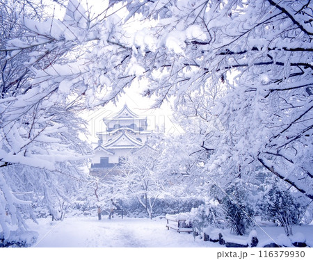 「国宝」彦根城、天守閣の雪景色/滋賀県彦根市 116379930